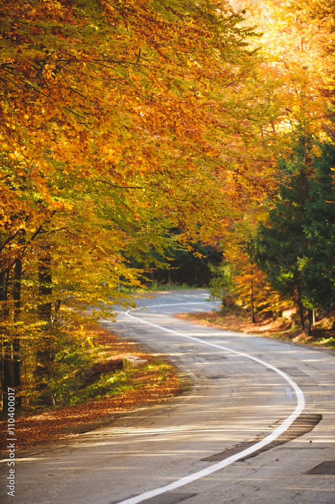 Obraz premium Road Curve