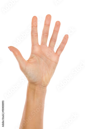 Woman's Hand Showing Five Fingers