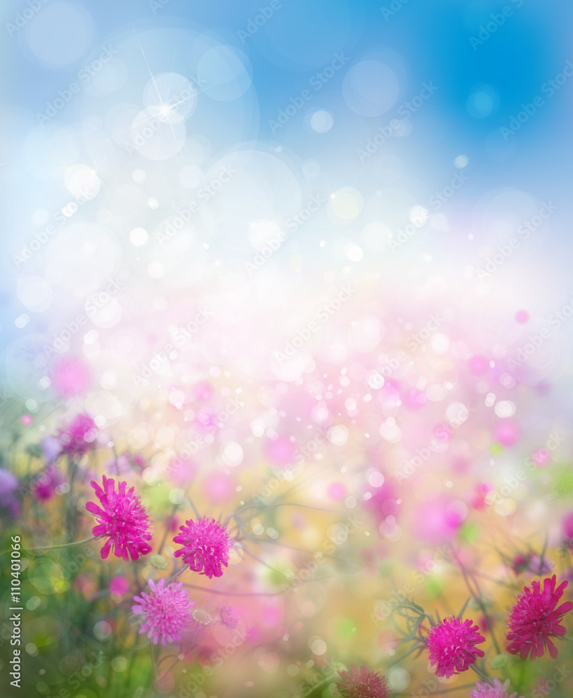 Obraz premium Sunshine, floral, nature background.