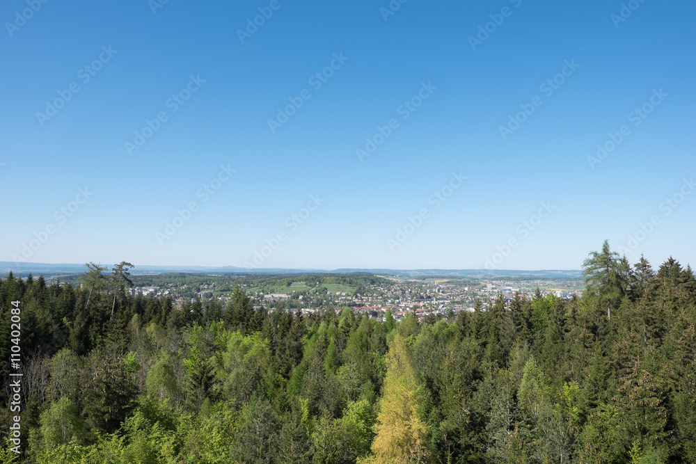 Fototapeta premium Stadt hinter dem Tannewald im Frühling