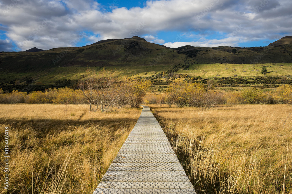 Obraz premium boardwalk/path traverses wetlands