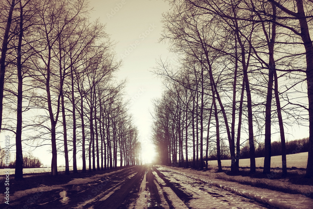 Obraz premium landscape road spring village in March