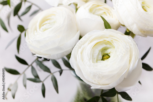 Bild auf Leinwand White ranunculus flowers in a glass vase Grey background