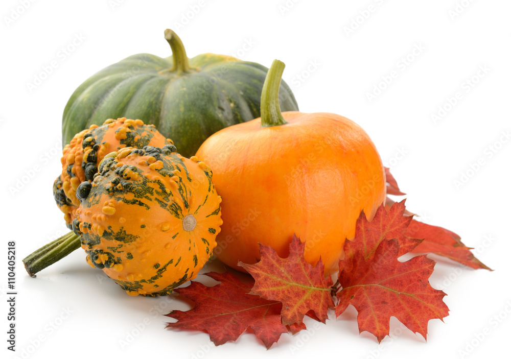 Obraz premium Mini Pumpkins Isolated