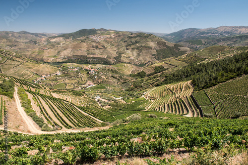 Douro Valley and Vineyards