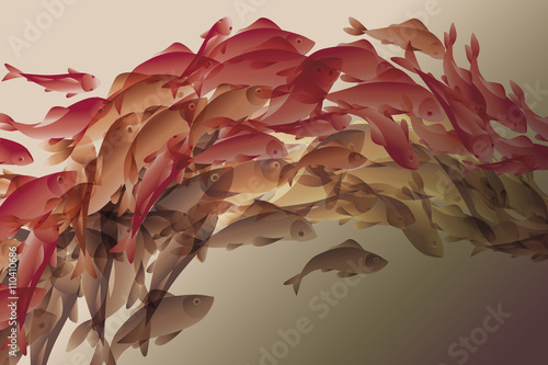 vector illustration of koi fish