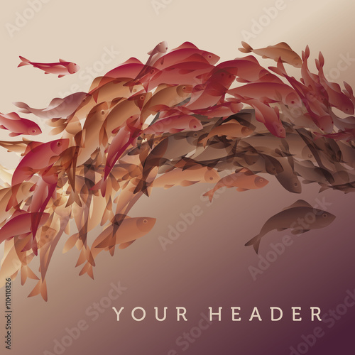 vector illustration of koi fish