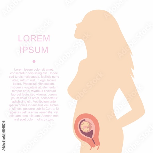 Illustration of a silhouette of a pregnant woman with an embryo