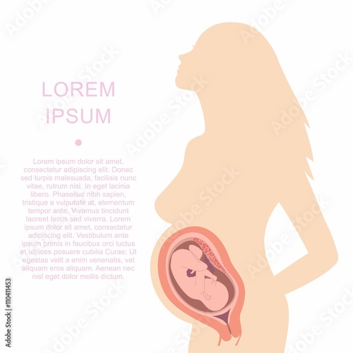 Illustration of a silhouette of a pregnant woman with an embryo