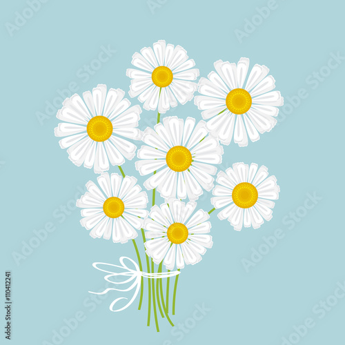 white chamomile bouquet vector illustration