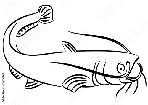 Illustration of a catfish
