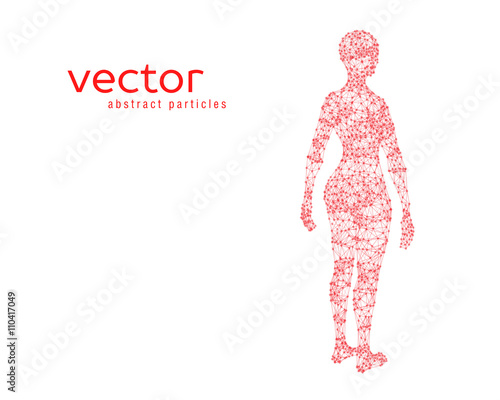 Vector illustration of female body