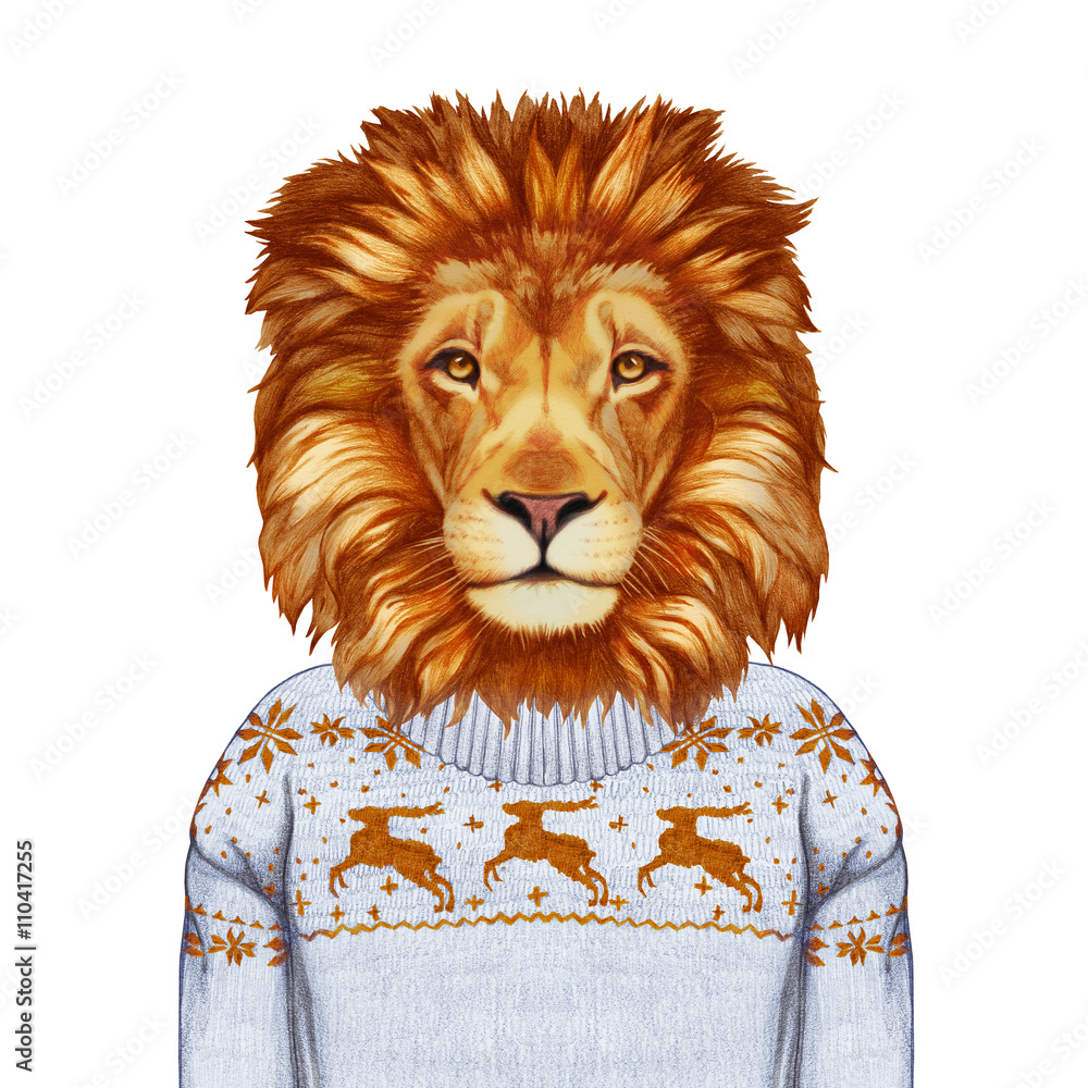 Obraz premium Zwierzęta jako człowiek. Portret lwa w swetrze. Ręcznie rysowana ilustracja, kolorowana cyfrowo.