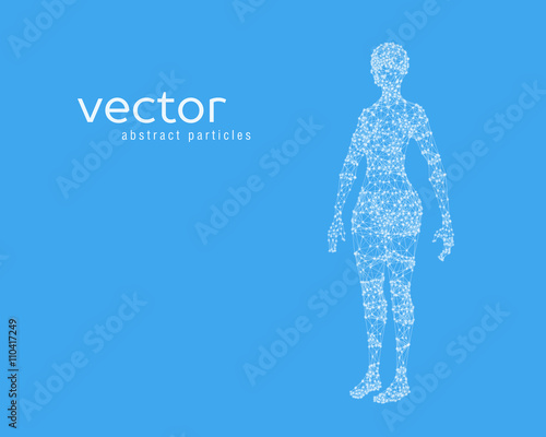 Vector illustration of female body