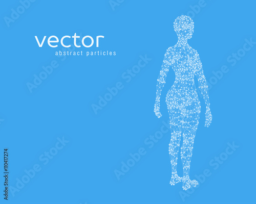 Vector illustration of female body