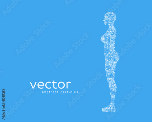 Vector illustration of female body
