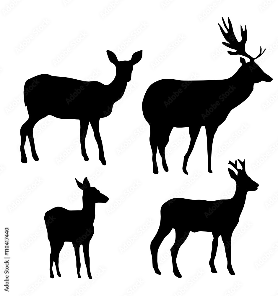Cerf Et Biche Stock Vector Adobe Stock Cerf Et Biche Stock Vector Adobe Stock