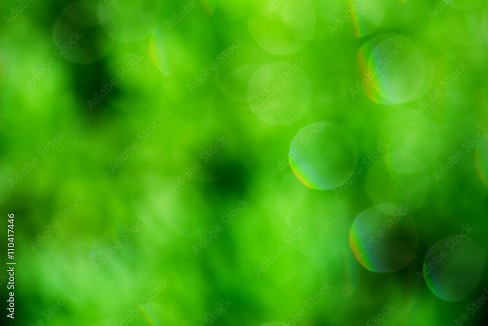 Fototapeta premium bright abstract summer green blurred bokeh background