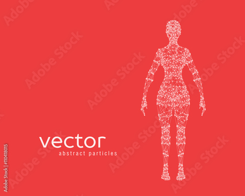 Vector illustration of female body