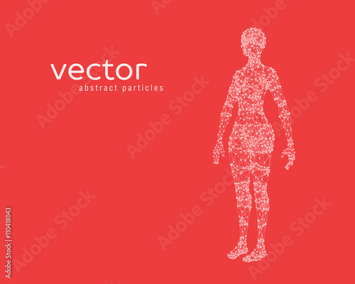 Vector illustration of female body