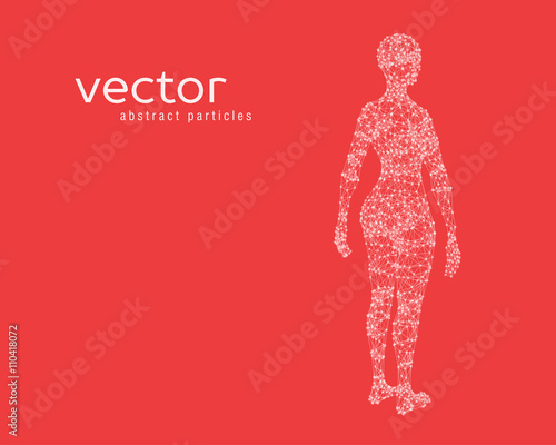 Vector illustration of female body
