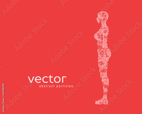 Vector illustration of female body