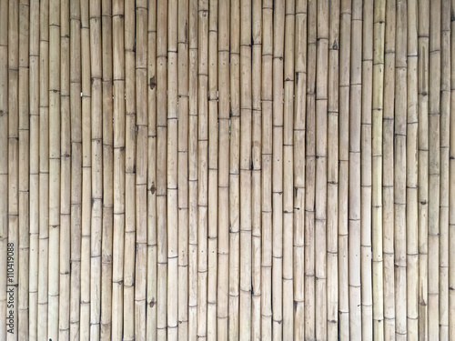 slim bamboo background