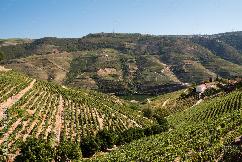 Douro Valley and Vineyards