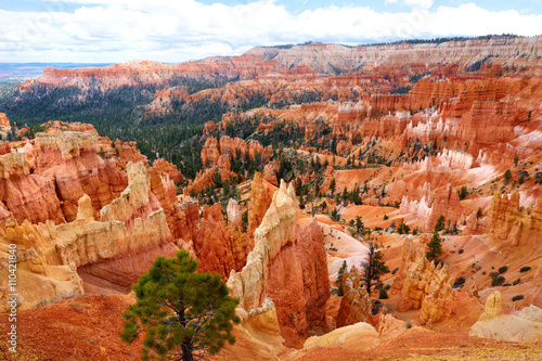 Sceniczny widok oszałamiająco czerwonego piaskowca hoodoos w Bryka jaru parku narodowym