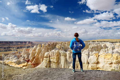 Принти на полотні Hiker admiring views of sandstone formations of Coal Mine Canyon, Arizona