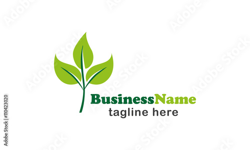 Leaf Logo Design 