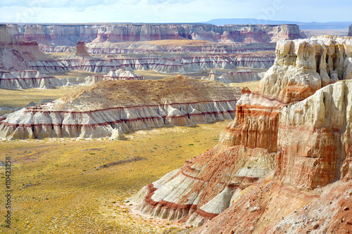 фотографія Scenic view of stunning white striped sandstone hoodoos in Coal Mine Canyon near