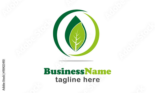 Leaf Logo Design 