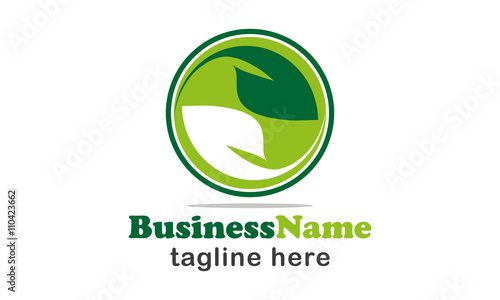 Leaf Logo Design 