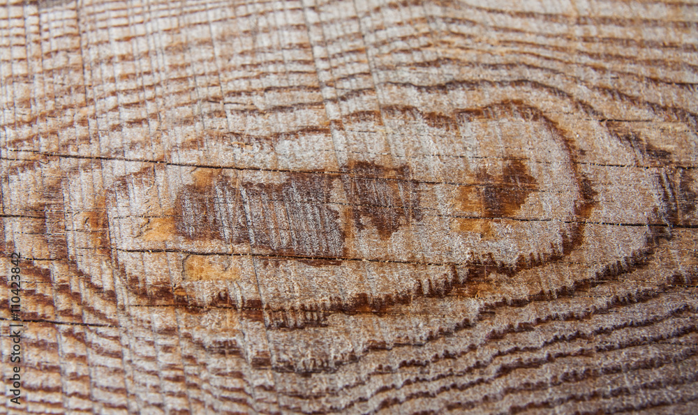 Fototapeta premium wood texture