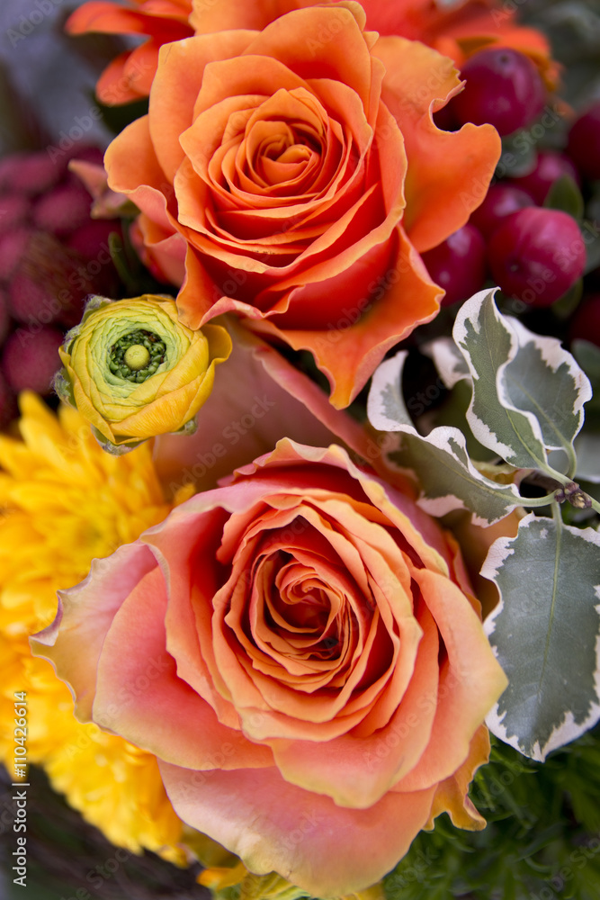 Naklejka premium zwei Rosen
