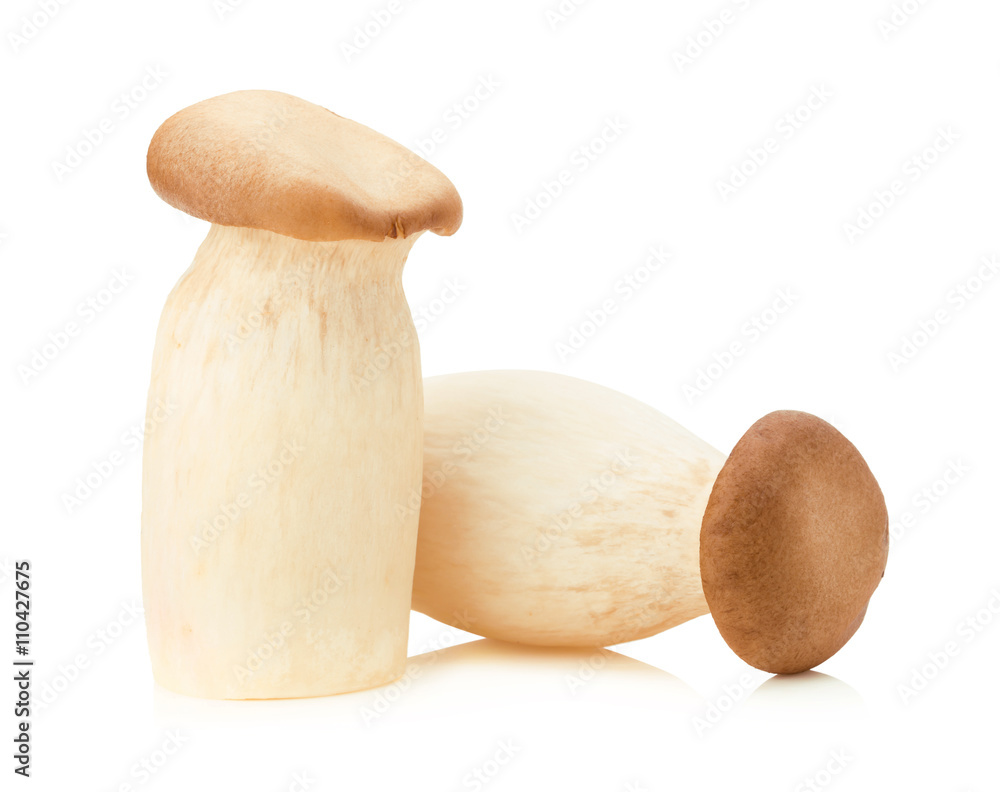 King Oyster mushroom (Eringi) on white backgroud King Oyster mushroom (Eringi) on white backgroud