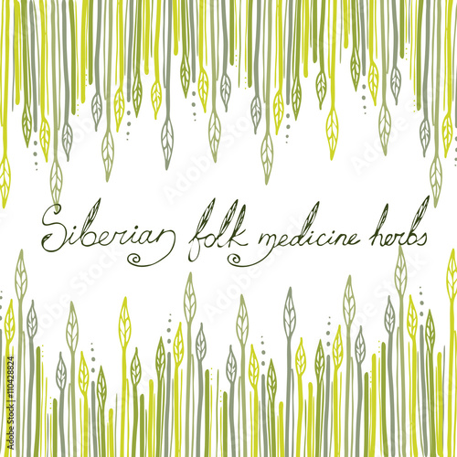 Siberian folk medecine herbs vector set. Botanical vector set.