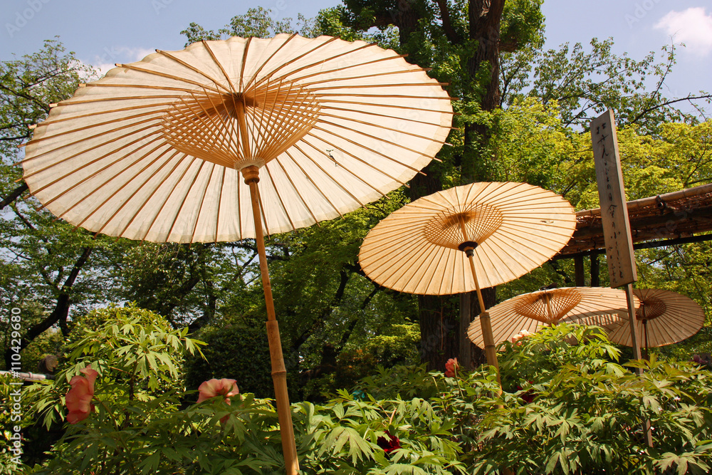 Obraz premium Ombrelles du jardin des pivoines au parc d'Ueno à Tokyo, Japon