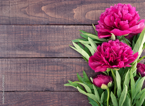 Red peony flower on dark rustic wooden background