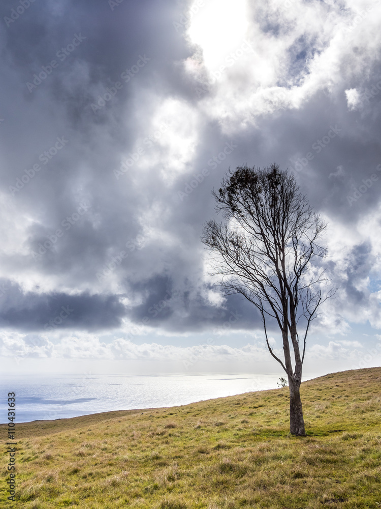 Fototapeta premium When the Storm is Coming