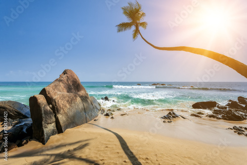 Stones and palm trees on a sandy beach of Hikkaduwa in Sri Lanka. Hikkaduwa is a small town on the south coast of Sri Lanka located in the Southern Province. photo