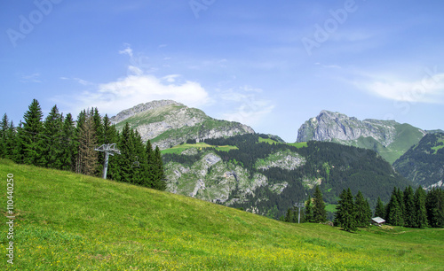 Beautiful summer landscape in the French Alps