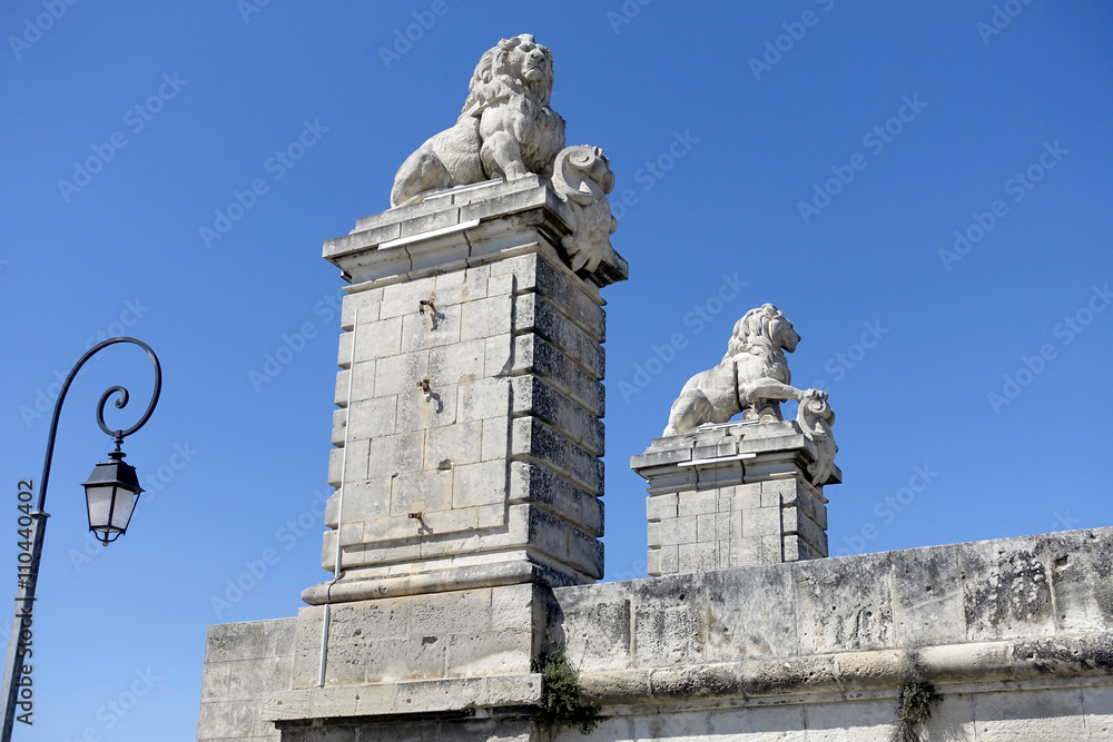 Pont aux lions Arles