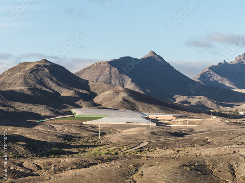 Agriculture tomato farms Canary Islands.