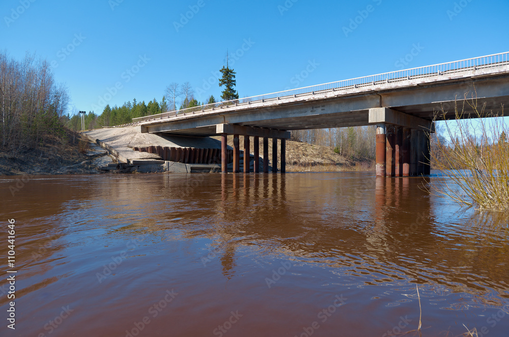 Fototapeta premium Spring flooding on the river