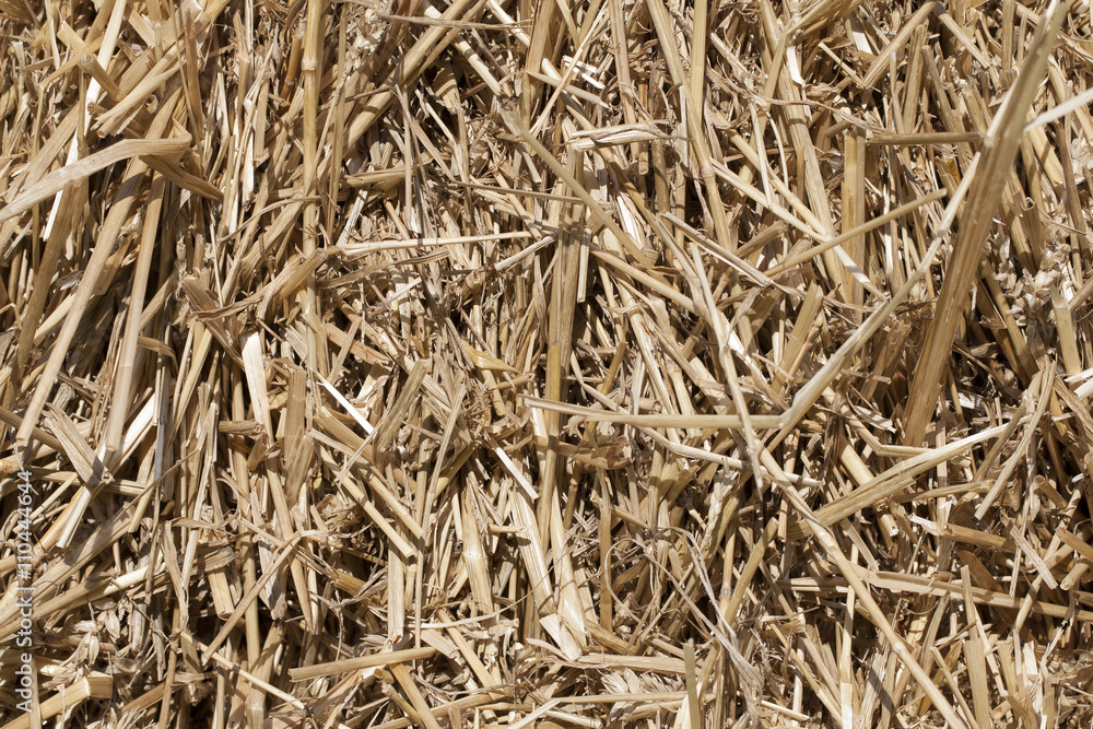 Texture of dry straw in the bale. background. Texture of dry straw in the bale. background.