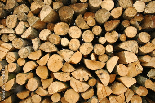 Cut Logs waiting to be Transported