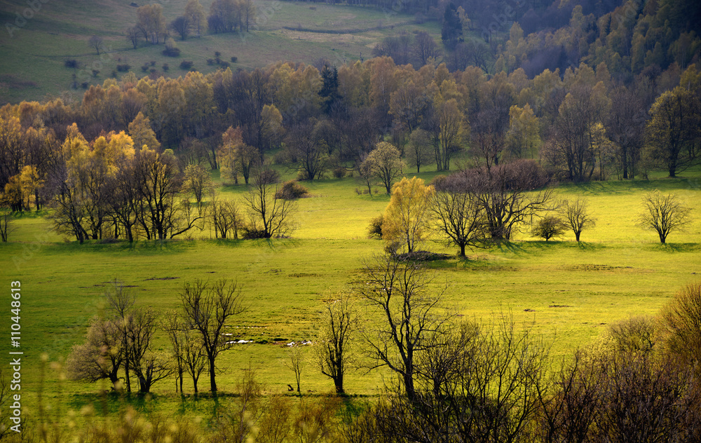 Fototapeta premium View from Spicak hill