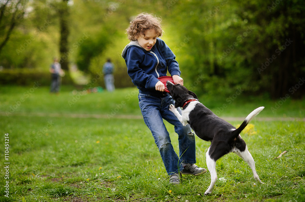 Curly-haired boy playing with the dog in the park Stock Photo | Adobe Stock